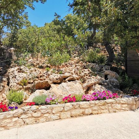 Villa Ermis - The Cretan Castello Kastellos Экстерьер фото