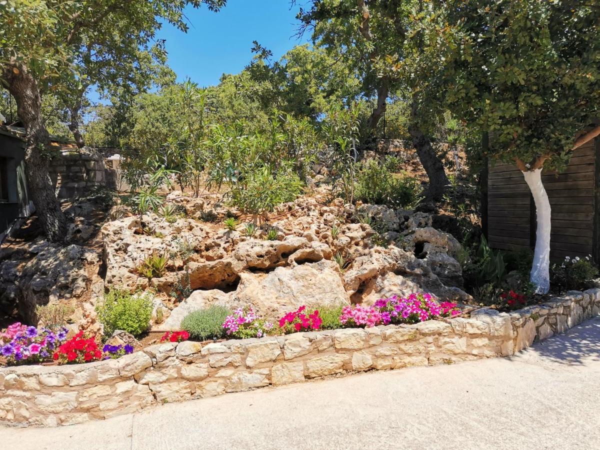 Villa Ermis - The Cretan Castello Kastellos Экстерьер фото