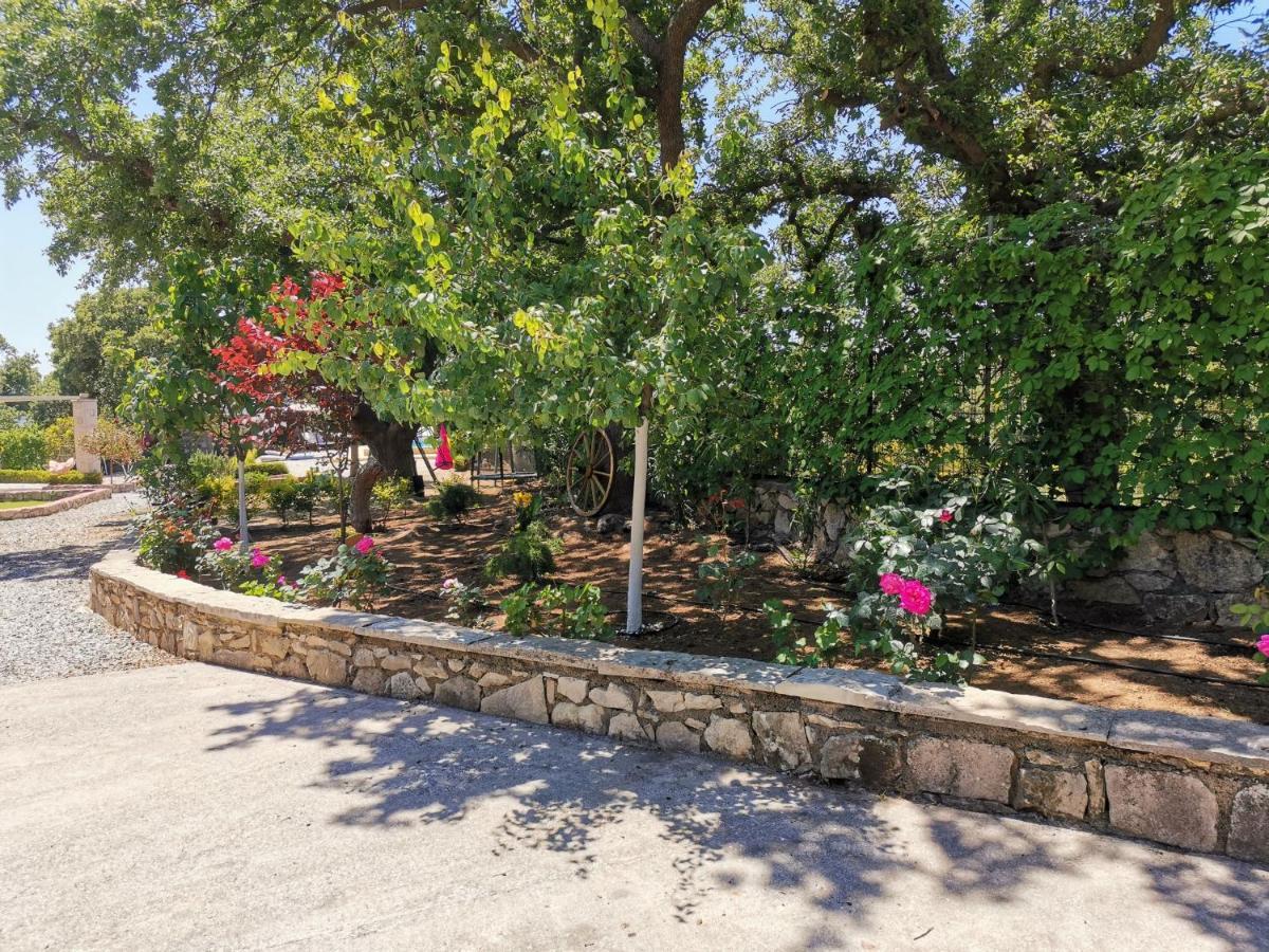 Villa Ermis - The Cretan Castello Kastellos Экстерьер фото
