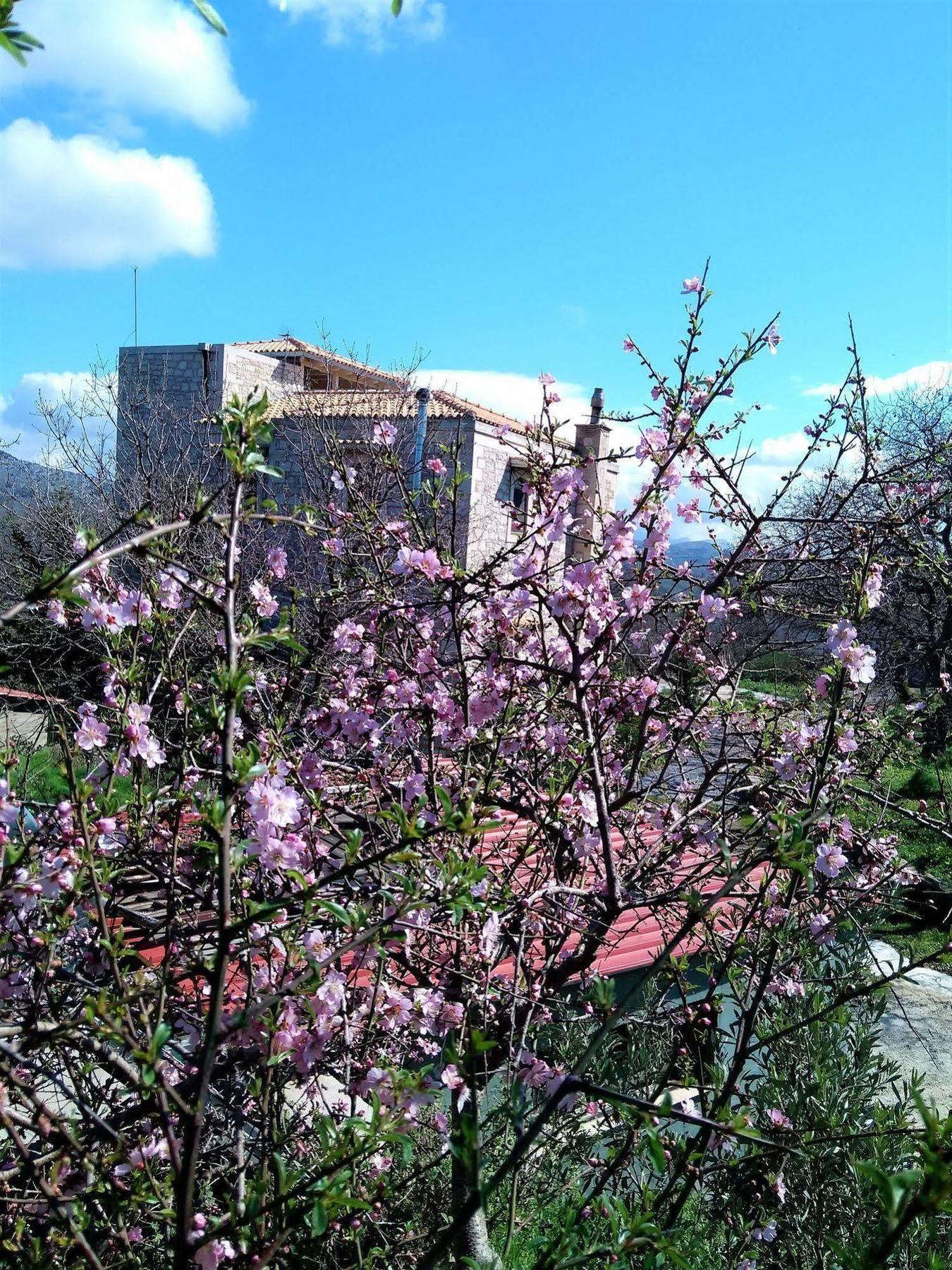 Villa Ermis - The Cretan Castello Kastellos Экстерьер фото